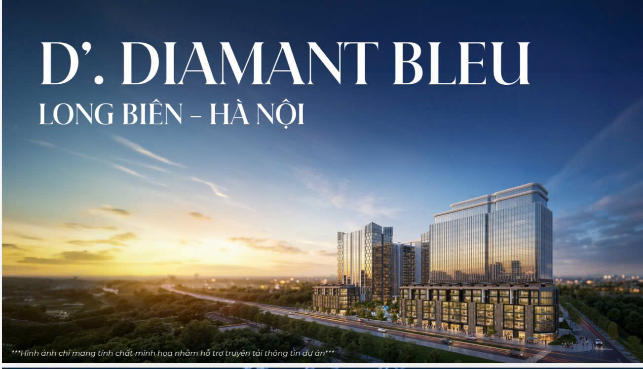 tổng quan phối cảnh dự án D’. Diamant Bleu